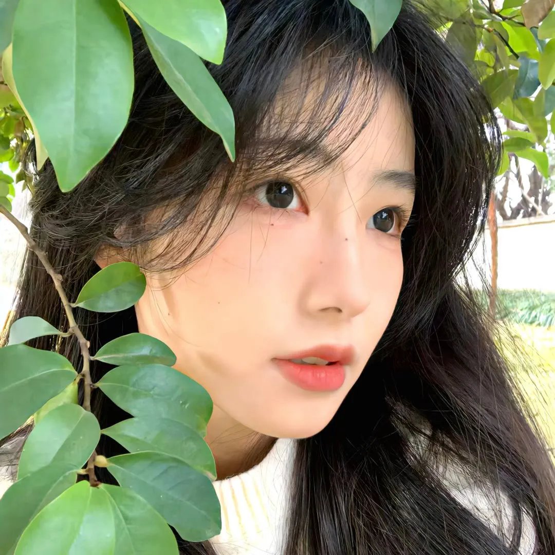 壳中少女 排气